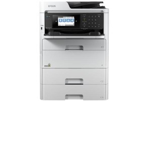 WF C579 Cat